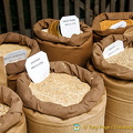 Various types of bird seeds, including an 'exotique' blend